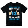 Birthday Gift 100% Cotton T-shirt Mens Tees Top Awesome 13 Year Old Looks Like Boys Tee