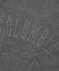 COLUMBIA UNIVERSITY Columbia Tot Dyed S/S T-Shirts_Gray
