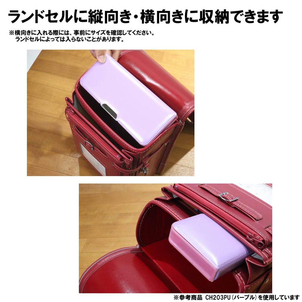 Kutsuwa Pittanton Brush CH203MT Case, 2-Door, Mint,