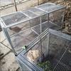 Rainproof Outdoor Chicken, Duck, Rabbit & Pigeon Coop with Anti-Rat Features