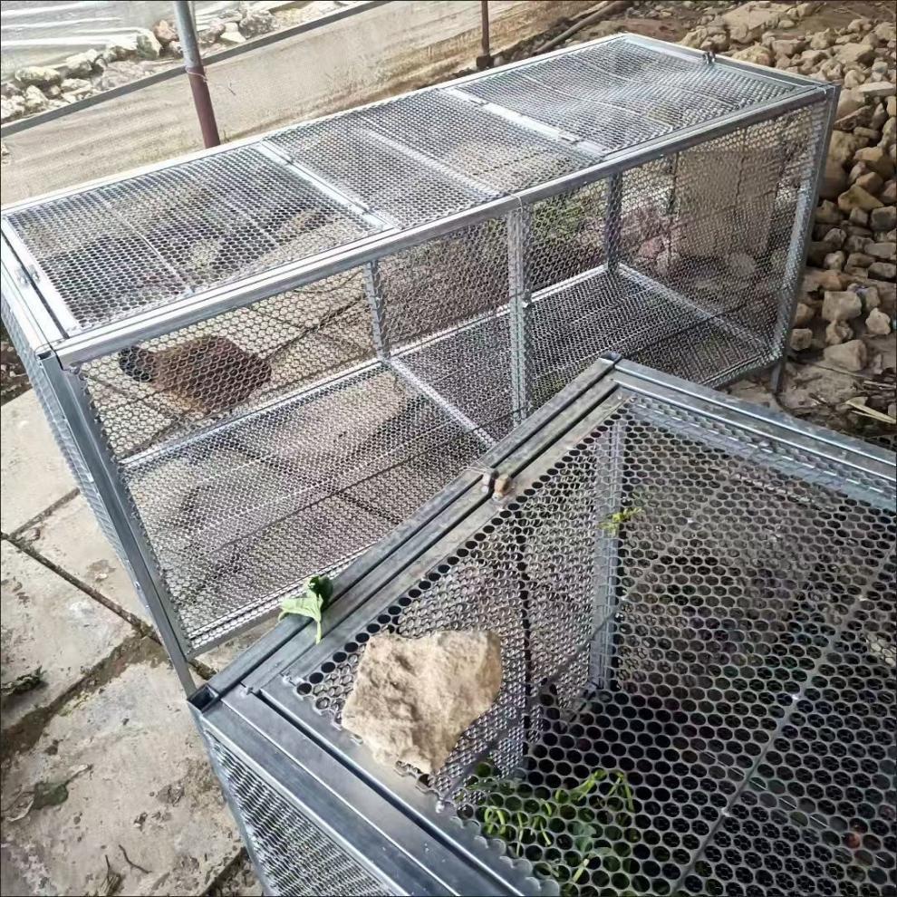 Rainproof Outdoor Chicken, Duck, Rabbit & Pigeon Coop with Anti-Rat Features