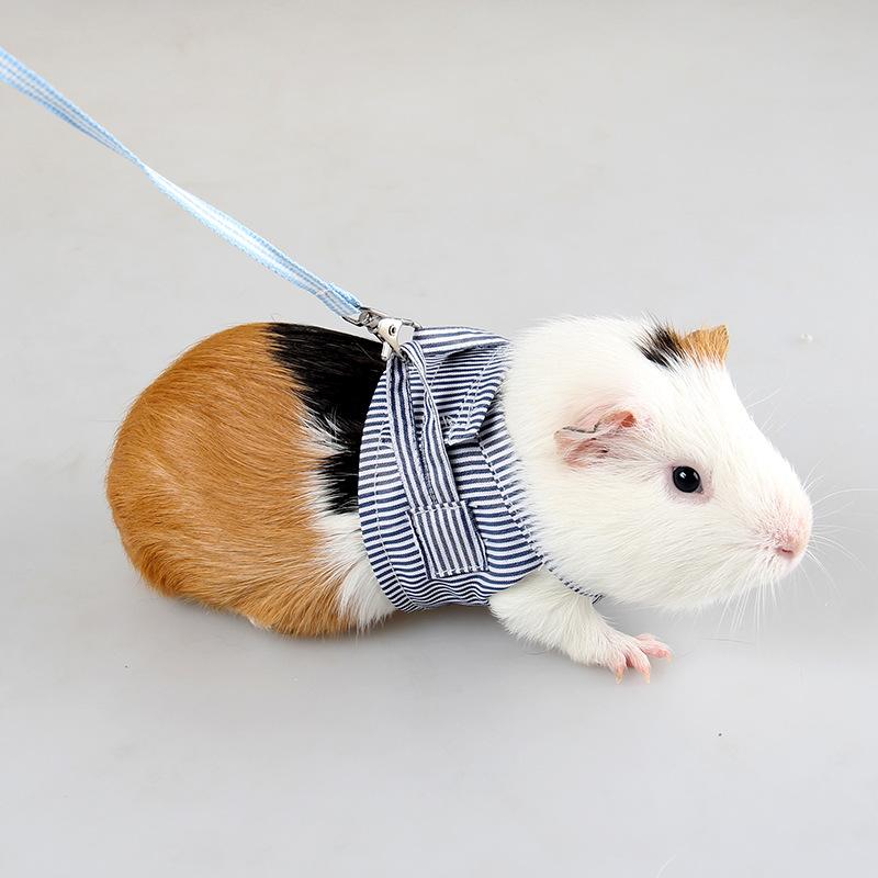 Ji Zaizai Guinea Pig Two-legged Clothes Spring and Summer Cotton Mink Hedgehog Small Pet Chest Harness Guinea Pig Out Traction Rope