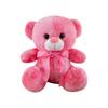 Colorful Plush Bear Doll for Sleeping, Sitting Model Cloth Toy, Perfect Children's Birthday Gift