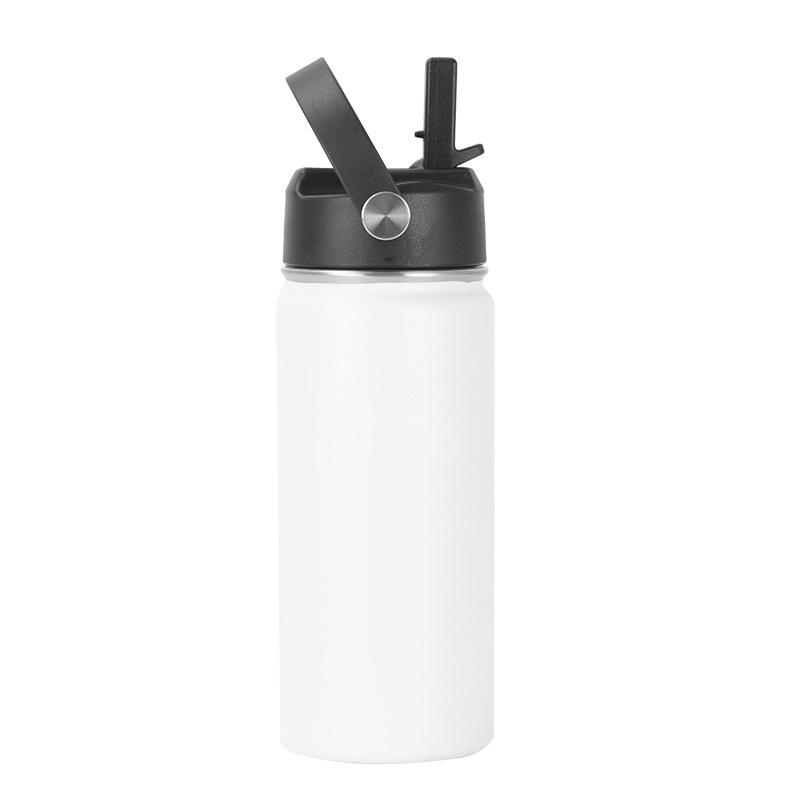 16oz 304 Stainless Steel Water Bottle, Double Wall Vacuum Insulated Sports Flask with Flip Straw Lid & Carry Handle