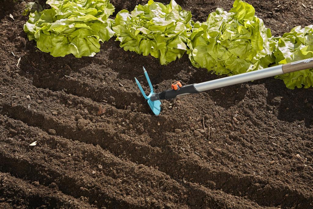 GARDENA Motyka dwuzębna, ostrze w kształcie serca, system combi, turkusowa, 7 cm szerokości, 3215-20, gwarancja produktu: Do 25 lat