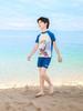 Boys' Quick-Dry Shark Swimsuit: Two-Piece Sun Protection Swimwear for Kids