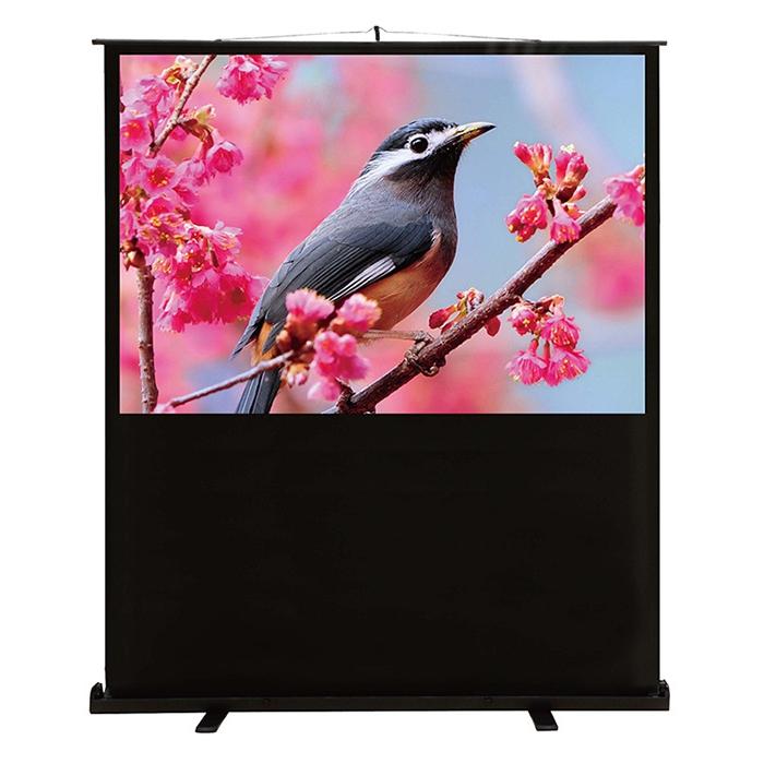 

Проекционный экран Cactus Cs-psflce-120x90