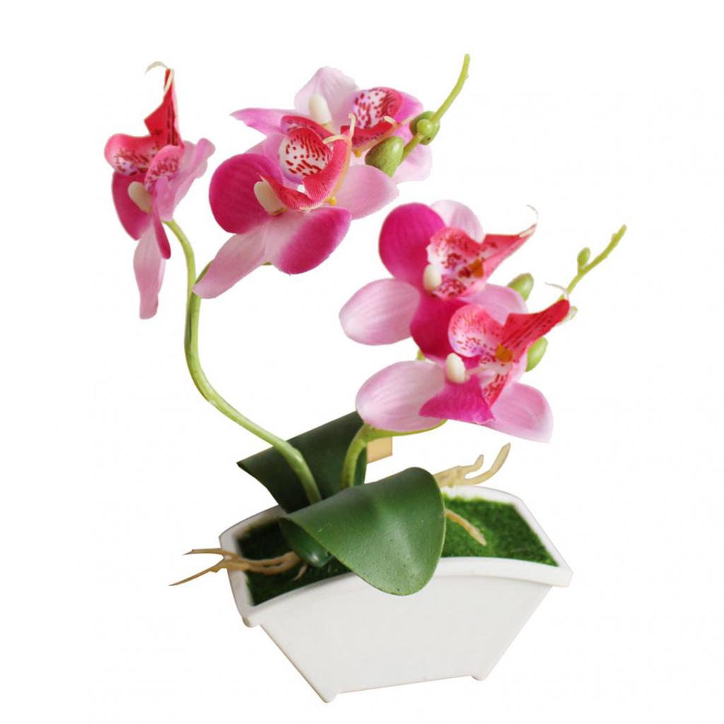 Butterfly Orchid Flower Home Office Decor with Flowerpot