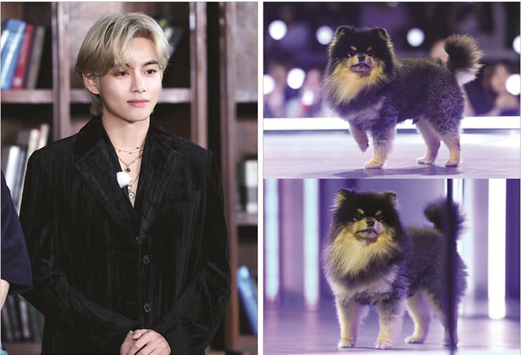 V Taete Goods Bangtan Boys Photo Book Premium Photo Book Premium Photo Book (V 2) [Item]