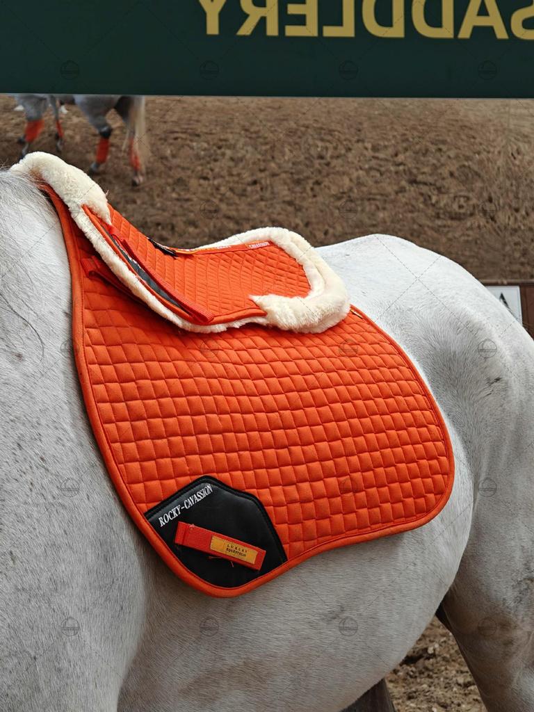 Six-Piece Equestrian Set: Ear Covers, Saddle Pads, Leg Wraps, Halters, Lead Ropes, and Matching Tack