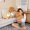 Beaver Plush Adorable Toy Cartoon Sofa Decor Gift Girls Cuddly Decorative Doll