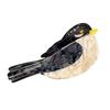  Fashionable Cartoon Bird Hair AccessoriesFriendly Acetate Big Hair Clip For Daily Use School Event Hairstyling