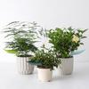 Leaf Shape Watering Funnel Watering Funnel Decorative Watering Leaf Planter Insert Plant Pot for Indoor