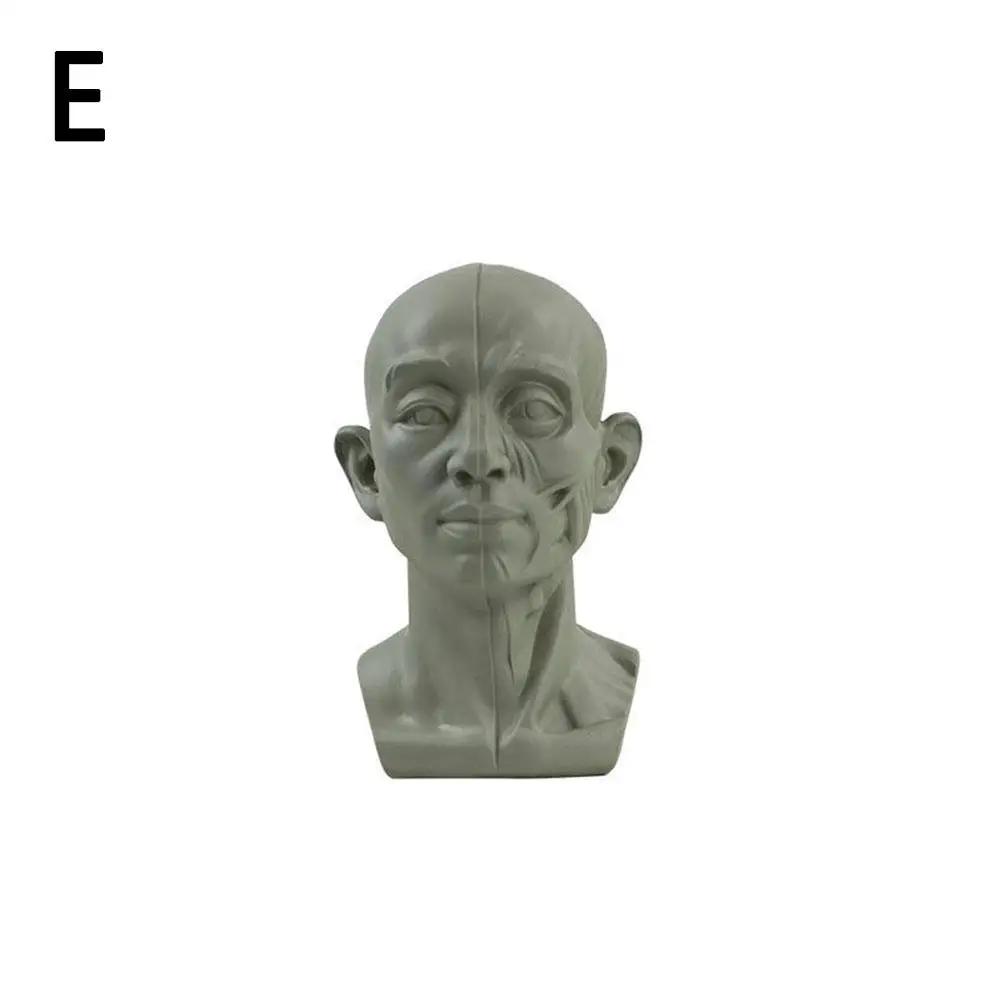 Art Plaster Portrait Teaching Aids Simulation Flat Plaster Tool Practical Sketch Head Resin Mini Version Portrait Learning A9P7