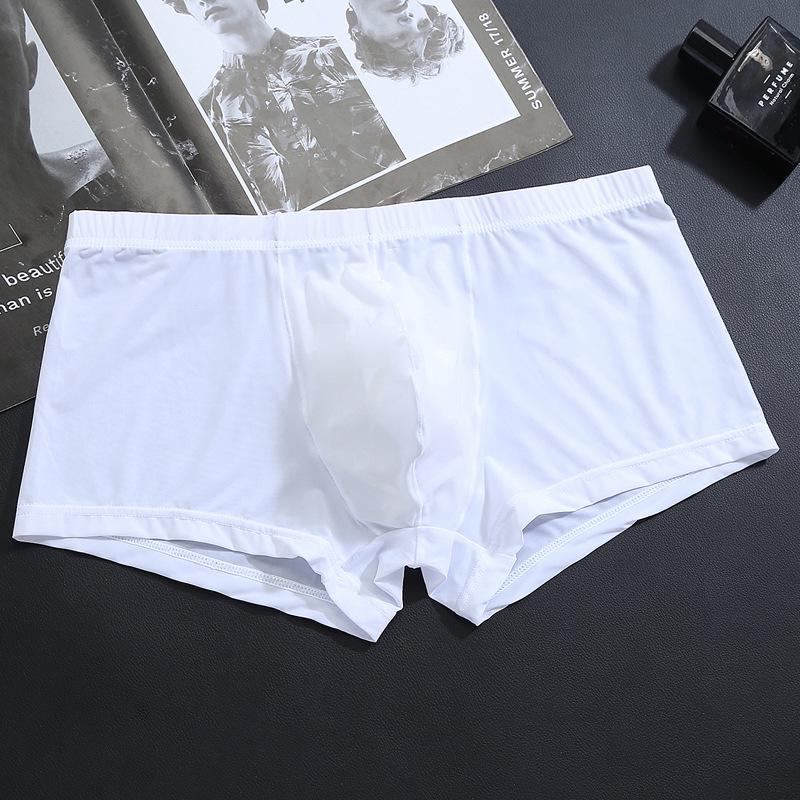 Men's Ice Silk Ultra-Thin Low Waist Transparent Boxer Briefs