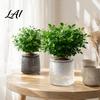 Decorative Aesthetic Flower Pots Self‑Watering Planter Pot Thick Transparent Embossed Desktop Vessels Indoor for Hydroponic Houseplants Succulents