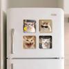 Grappige Kat Memes Koelkastmagneet Gepersonaliseerde Creatieve Magnetische Stickers Met Magneten
