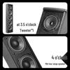 SAST Professional Conference Audio System CN plug (adapter included)