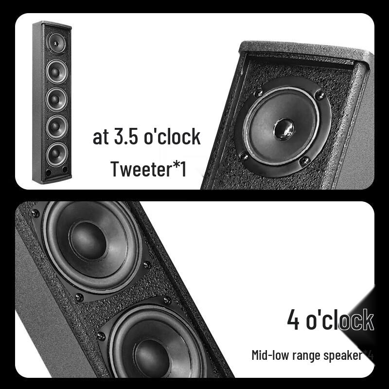 SAST Professional Conference Audio System CN plug (adapter included)