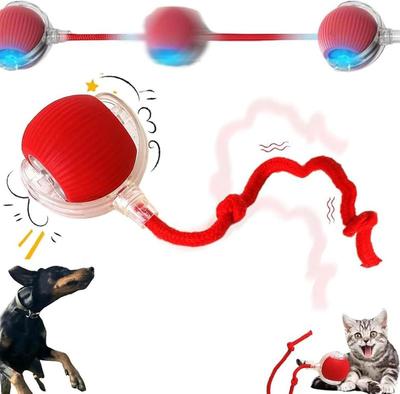 Gatti – Giocattoli per gatti