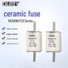 OLOEY NGTC1 RS32 Fast Acting Fuse