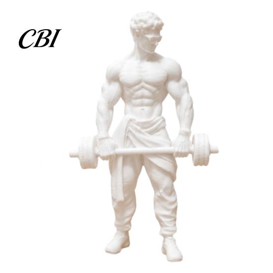 Scultura Postura Muscolare Uomo Stampato 3D Ornamento, Tema Fitness per Bodybuilder, Regalo Appassionato di Fitness Figura Sportiva Statua Sollevamento Pesi