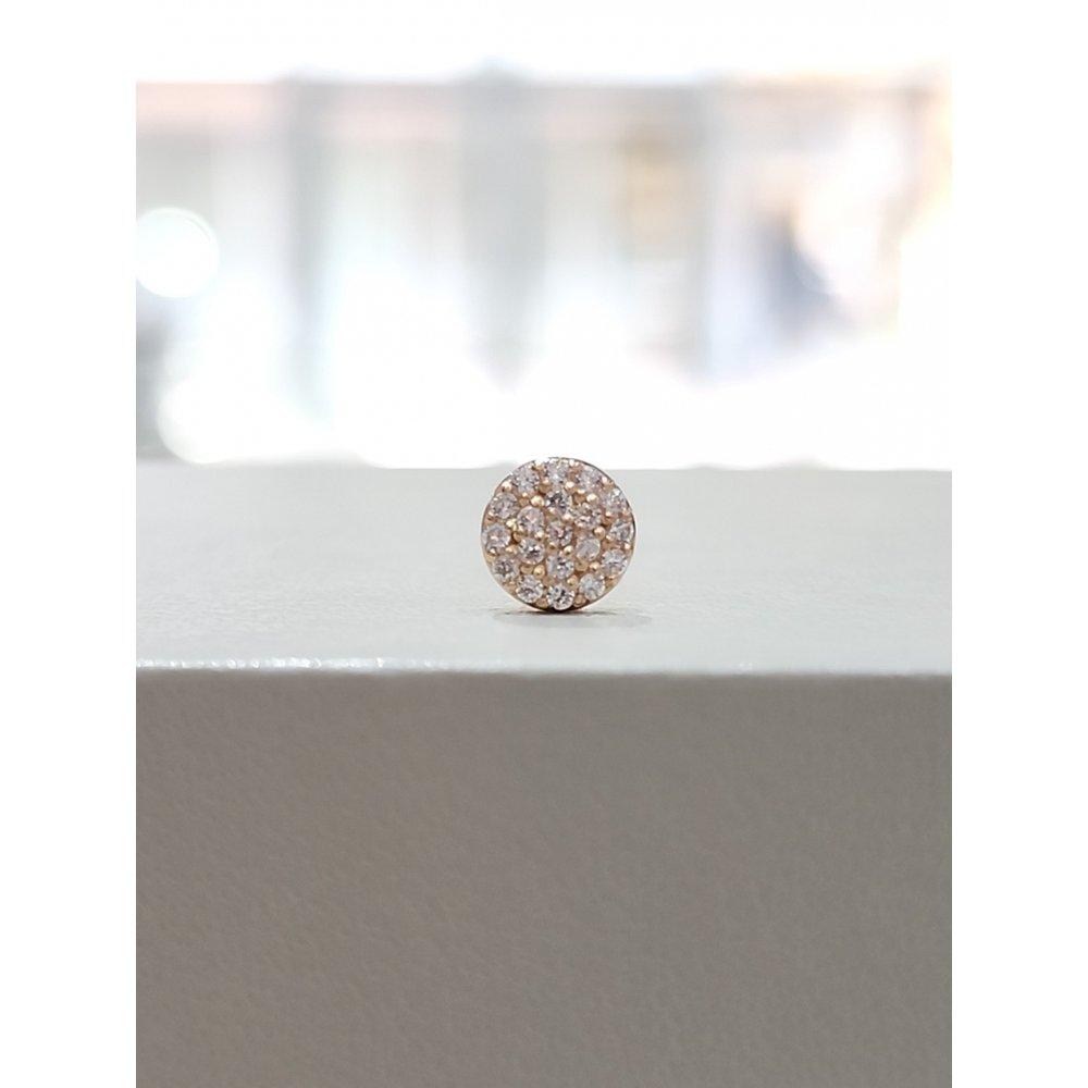 

[Roseedor] Pure Fruit Pg 14K Piercing Pair 251610389