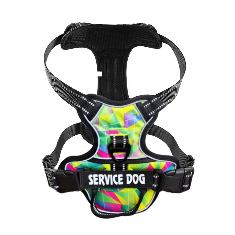 Nylon Dog Harness Vest Reflective Dog Harness Personalized Breathable Adjustable Pet Harness Leash For Small Medium Large Dogs XS(old)