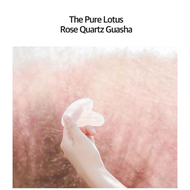 THE PURE LOTUS Rose Quartz Guasha
