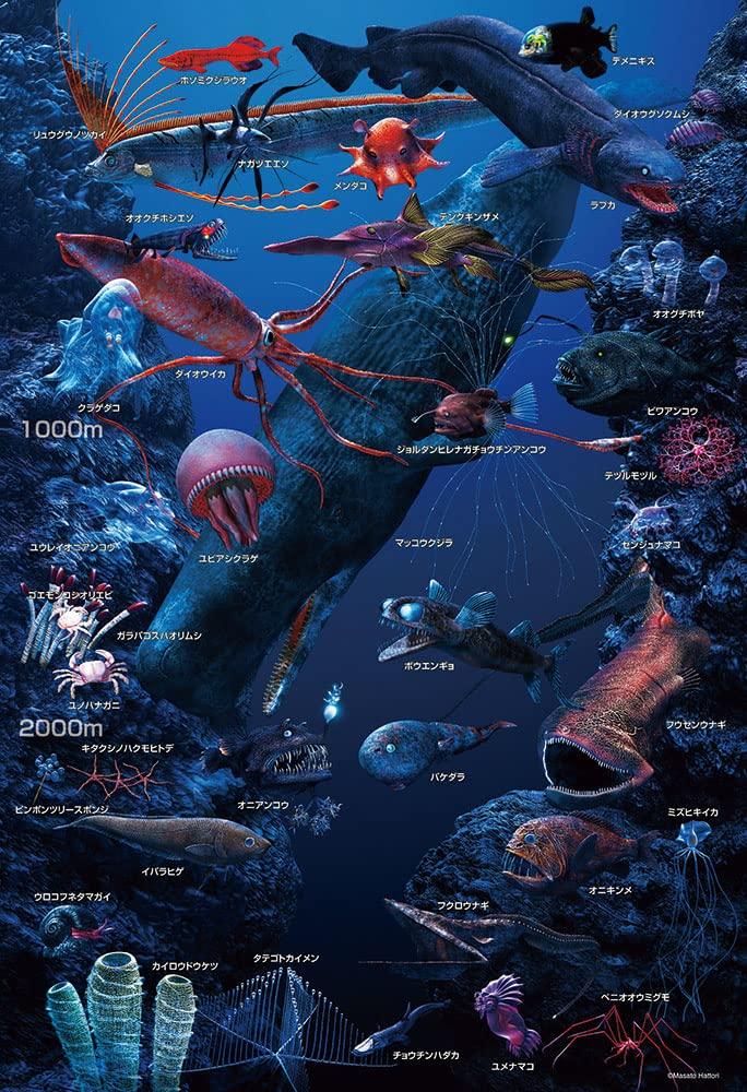 in Beverly 150 Large Jigsaw Learn Deep Sea x 38 [Made Japan] Puzzle Creatures! (26 cm) L74-191