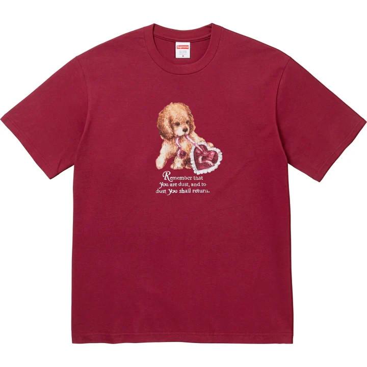 Supreme Dust Tee Cardinal XL