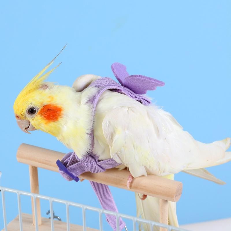 Parrot Outdoor Walking Harness Leash Soft Skin-Friendly Flight Training Rope for Cockatiel Budgie Parakeet Pet Bird Supplies
