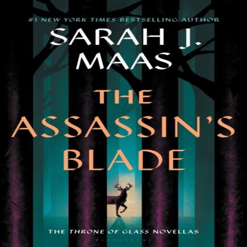 Die Klinge der Assassinen von Sarah J. Maas Hardcover Buch 9781639731084