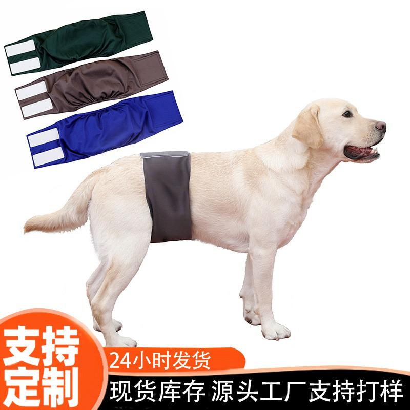 Male Dog Diaper Pants Waterproof Leak-Proof Absorbent Underwear Golden Retriever Large Breeds