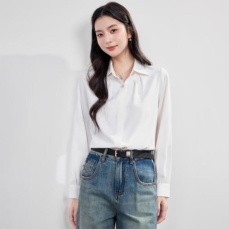 Women s Professional Long Sleeve Chiffon Blouse 2XL