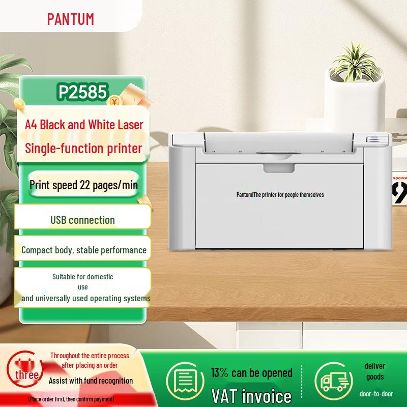 Pantum A4 Black & White Laser Printers & Multifunction Devices CN plug (adapter included)