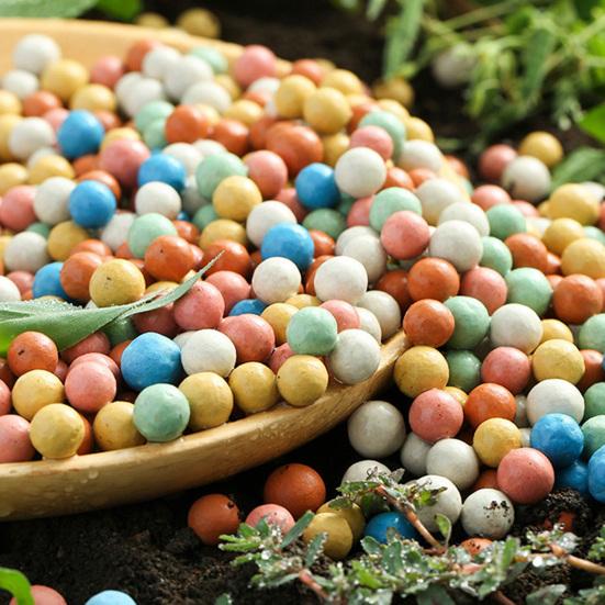 500g Billes d'Argile Litière de Terrarium Couche de Drainage Billes d'Argile Couverture de Terreau pour Plantes Billes pour Pots de Plantes Succulentes Plantes en Pot Hydroponie