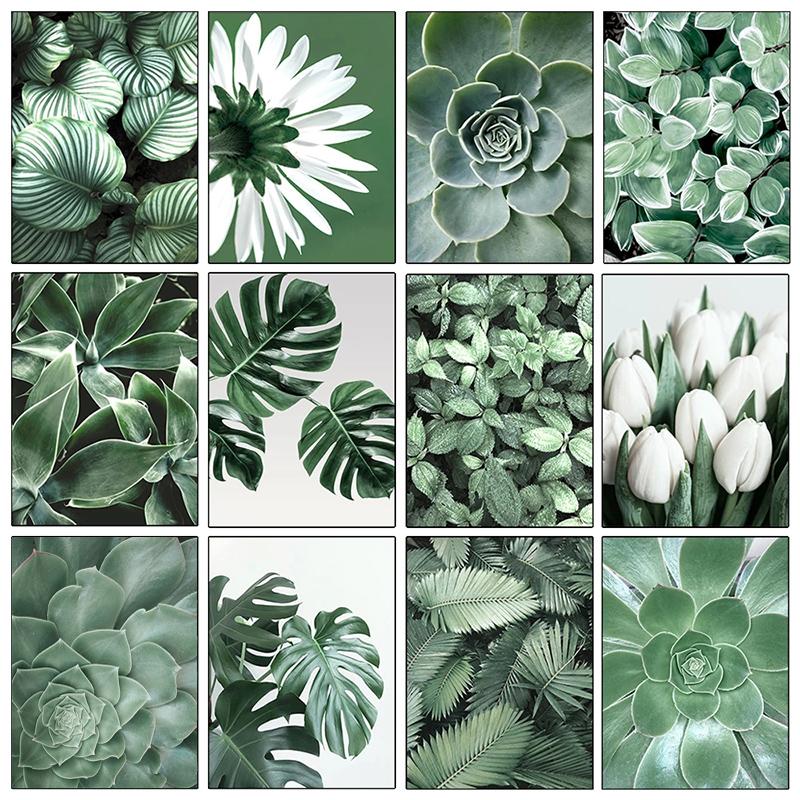 

Зеленые растения Цветочные листья Плакаты и принты Настенное искусство Холст Живопись Скандинавское настенное искусство Картины для украшения дома гостиной