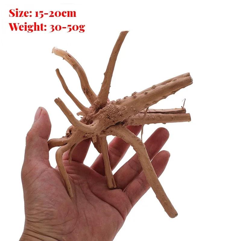 2025 Natürliche Holz-Aquariumdekorationen Pflanzenstamm Baumstamm Treibholz Baum Aquariumfische Landschaftsgestaltung Baumwurzeln Ornamente