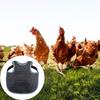 2KS Ptačí bezpečnostní výstroj Ochrana proti klování Design Chrániče zad pro slepice pro farmové použití