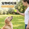 Durable Rubber Tennis Ball Dog Toy Chewing Training Outdoor Play Small To Medium Dogs