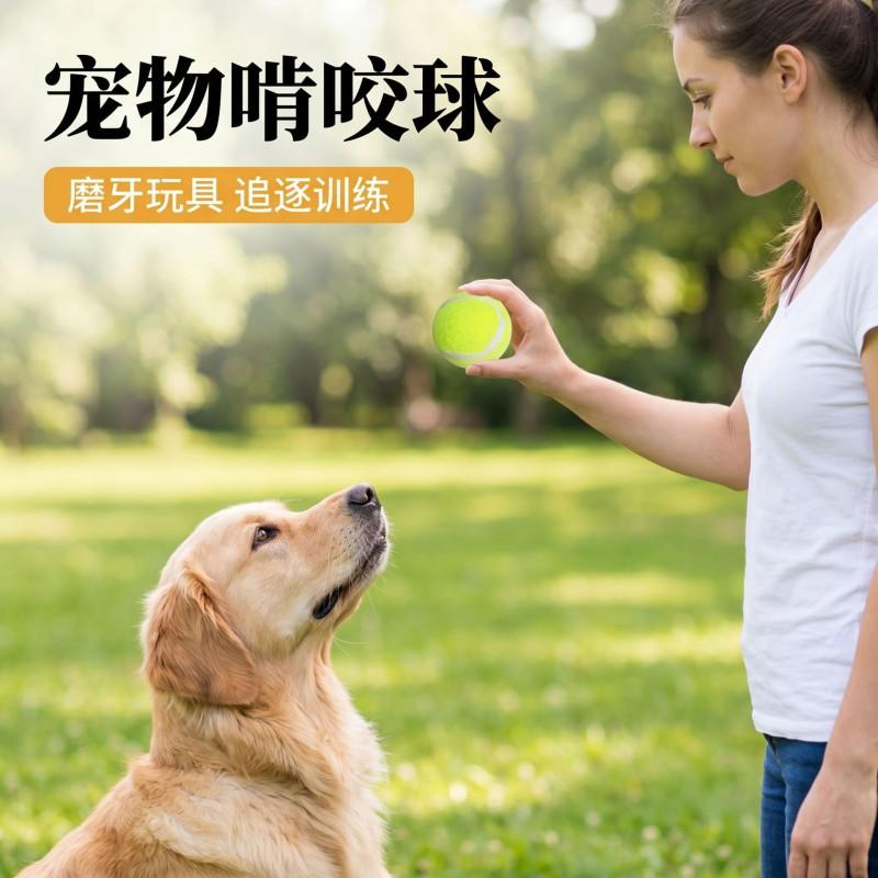 Durable Rubber Tennis Ball Dog Toy Chewing Training Outdoor Play Small To Medium Dogs