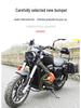 Retro Rear Backrest & Anti-Fall Guard for Qianjiang Flash 300S Motorcycle