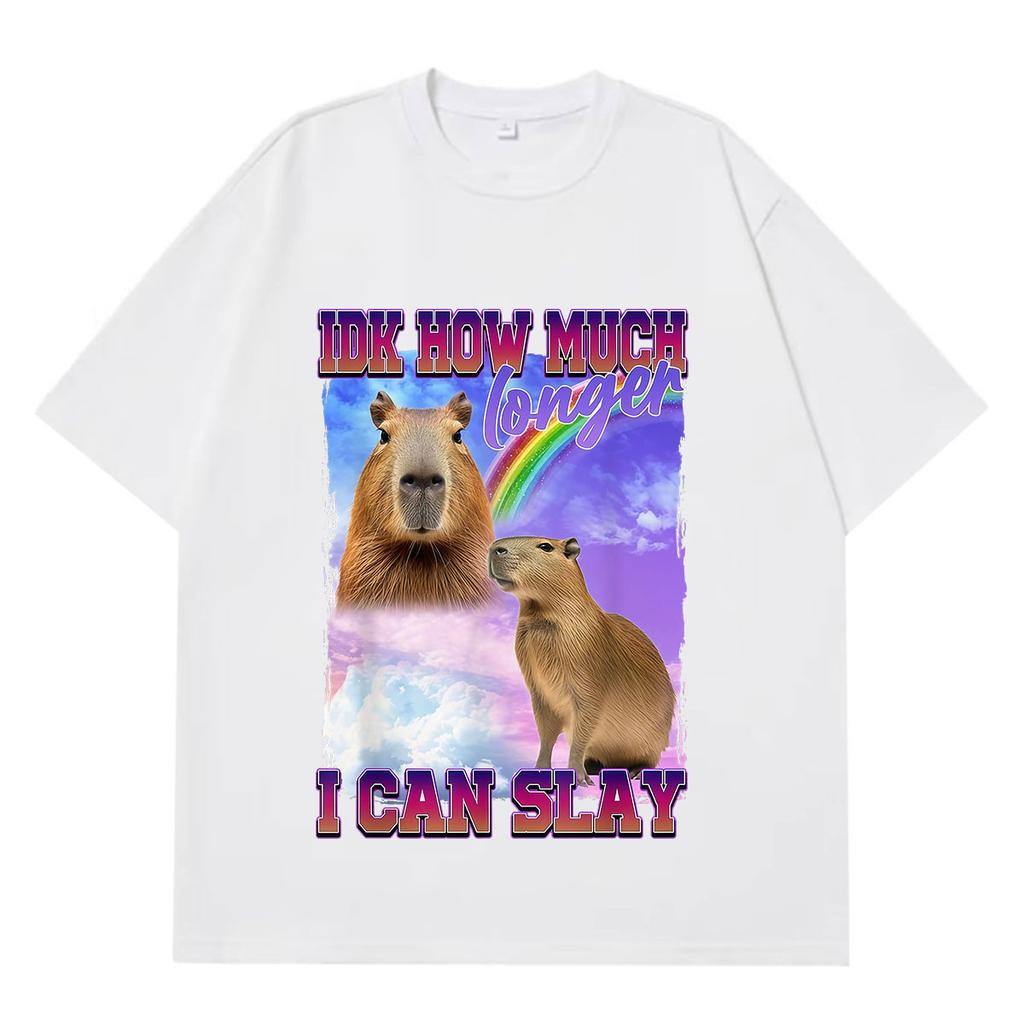 IDK How Much Longer I Can Slay Funny Capybara Meme TShirt Unisex Unisex Fashion HipHop Tshirts Summer Cotton Oversized Tshirts