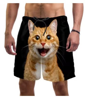 3D Printed Funny Cat Beach Shorts Men s Quick Dry Swimming Summer Drawstring Cool Vacation Surf Men s Shorts XS