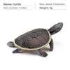 Aquatic Reptile Tortoise Pvc Model Set With Realistic Detailing For Educational Collection