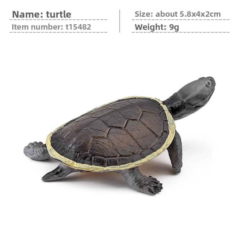 Aquatic Reptile Tortoise Pvc Model Set With Realistic Detailing For Educational Collection