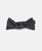 White Sands Purple Label Check Cotton Ribbon Pin (L) Ayers