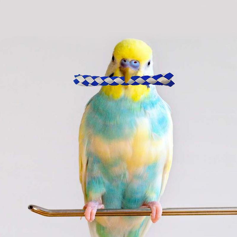 

Chinese Finger Traps For Kids Pet Foraging Accessory Assorted Colors Chinese Finger Trap Bird Chew Foraging Chopper Toy For Kids CHINA