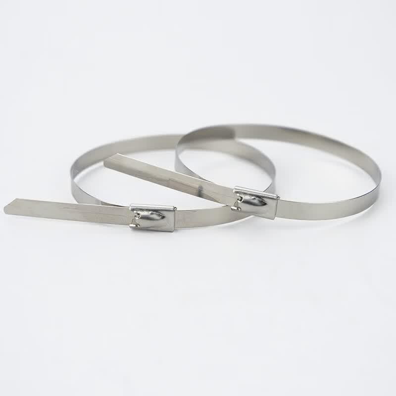 HAISIDIKE 304 Stainless Steel Self-Locking Cable Ties